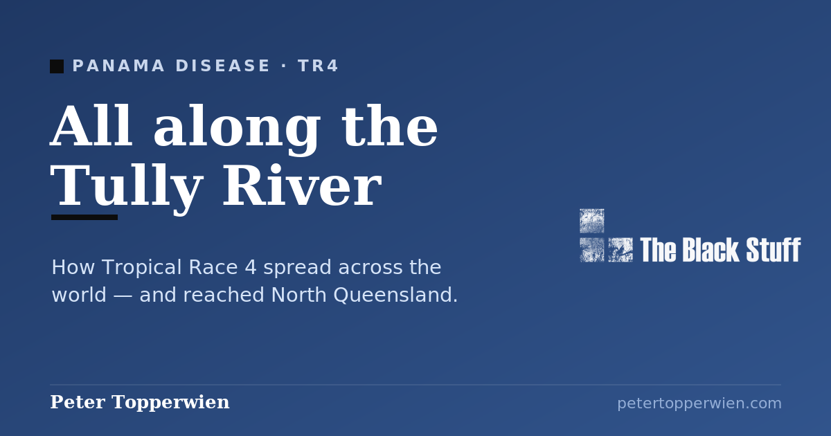 All along the Tully River